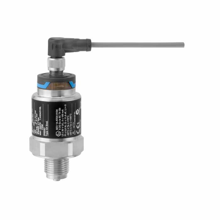 ترانسمیتر فشار سرامیکی اندرس هاوزر Cerabar PMC21 | Endress+Hauser Cerabar PMC21