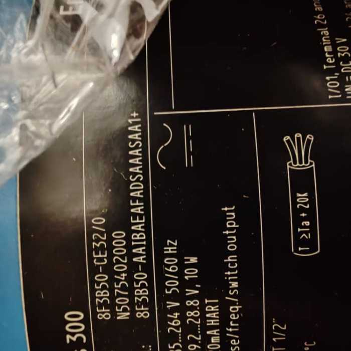 فلومتر کوریولیس ۲ اینچ اندرس هاوزر Promass F 300 | Endress+Hauser Promass F 300 DN50